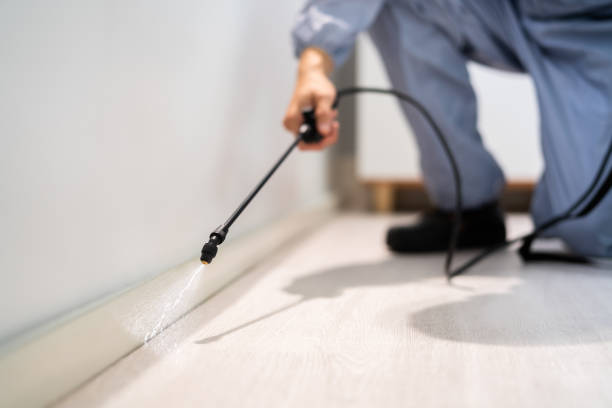 Bed Bug Pre-Treatment Preparation Assessment in Spry