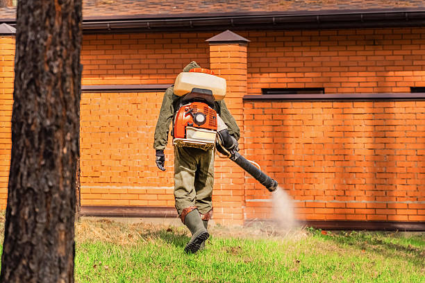 Bed Bug Clearance Verification and Documentation in Spry